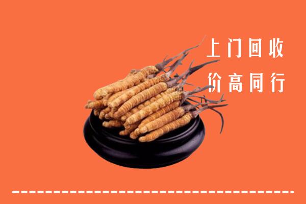 高价求购：泸州市江阳区回收散虫草