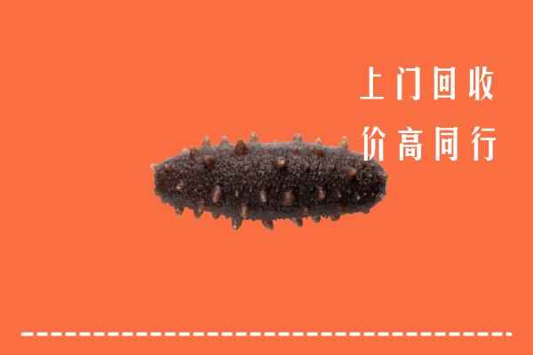 高价求购：泸州市江阳区回收海参