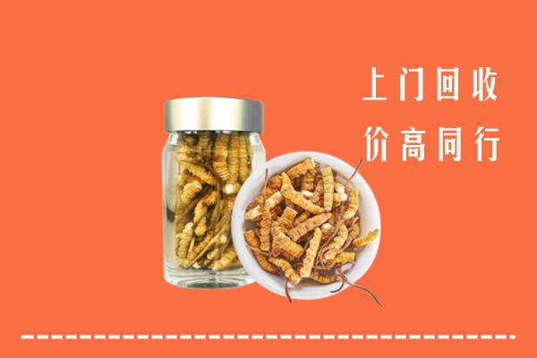 泸州市江阳区回收冬虫夏草