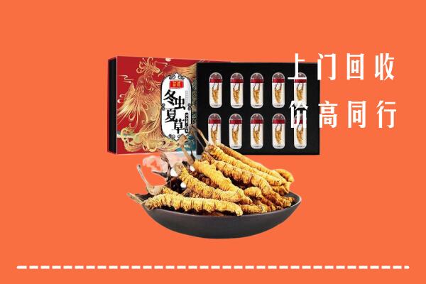 泸州市江阳区回收虫草